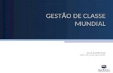 GESTÃO DE CLASSE MUNDIAL José Goldfreind D IRETOR L EAN S EIS S IGMA.