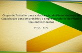 Grupo de Trabalho para a elaboração do Plano Nacional de Capacitação para Empresários e Empreendedores de Micro e Pequenas Empresas PNCA – MPE.