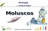 Www.andremaiabio.co m.br Biologia Profº André Maia Biologia MoluscosMoluscos.