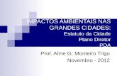 IMPACTOS AMBIENTAIS NAS GRANDES CIDADES: Estatuto da Cidade Plano Diretor PDA Prof. Aline G. Monteiro Trigo Novembro - 2012.