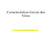 Características Gerais dos Vírus .