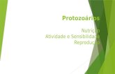 Protozoários Nutrição Atividade e Sensibilidade Reprodução.