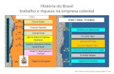 História do Brasil trabalho e riqueza na empresa colonial Profª: Poliane Camila. Aula de revisão, História 7º ano.