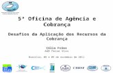 5ª Oficina de Agência e Cobrança Desafios da Aplicação dos Recursos da Cobrança Célia Fróes AGB Peixe Vivo Brasília, 08 e 09 de novembro de 2011.