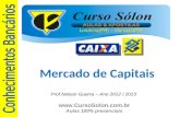 Www.CursoSolon.com.br Aulas 100% presenciais Mercado de Capitais Londrina(PR) – Maringá(PR) Prof.Nelson Guerra – Ano 2012 / 2013.