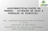 Eng. Agrônomo Reynaldo Dias de Moraes e Silva Consultor do MCT/SECIS Secretária de Ciência e Tecnologia para Inclusão Social.