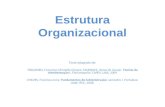 Estrutura Organizacional Texto adaptado de: TRIGUEIRO, Francisco Minialdo Chaves; MARQUES, Neiva de Araujo Teorias da Administração I. Florianópolis: CAPES: