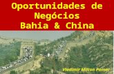 Oportunidades de Negócios Bahia & China Vladimir Milton Pomar.