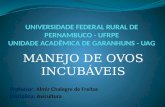 Professor: Almir Chalegre de Freitas Disciplina: Avicultura MANEJO DE OVOS INCUBÁVEIS.