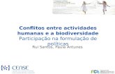 Conflitos entre actividades humanas e a biodiversidade Participação na formulação de políticas Rui Santos, Paula Antunes.