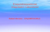 Esquistossomose Diagnóstico Laboratorial Rafael Mendes - CPqAM/FIOCRUZ.
