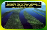 No município de Novo Airão... distante 143 quilômetros por via fluvial de Manaus... localizado às margens do Rio Negro... há uma importante Estação Ecológica.