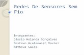 Redes De Sensores Sem Fio Integrantes: Cássio Holanda Gonçalves Gustavo Acatauassú Xavier Matheus Sales.
