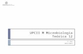 UPCII M Microbiologia Teórica 12 2º Ano 2012/2013.