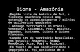 Bioma - Amazônia • Região norte da América do Sul, a floresta amazônica possui uma extensão de aproximadamente 7 milhões de quilômetros quadrados • Abrange.