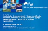 Seminário Internacional “Mega-tendência Quadros Nationais de Qualifições (QNQ) – Oportunidades, Desafios e Lições Aprendidas A Perspectiva da OIT Alessandra.