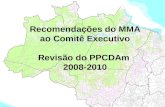 Recomendações do MMA ao Comitê Executivo Revisão do PPCDAm 2008-2010.