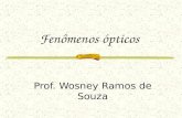 Prof. Wosney Ramos de Souza. Reflexão da Luz Reflexão Regular Reflexão Difusa ou Irregular.