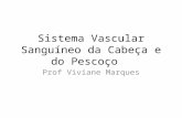 Sistema Vascular Sanguíneo da Cabeça e do Pescoço Prof Viviane Marques.