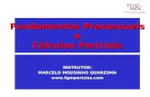 Fundamentos Processuais e Cálculos Periciais INSTRUTOR: MARCELO MOUSINHO QUARESMA .