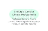 Biologia Celular Célula Procarionte Professor Benigno Rocha Turma: Enfermagem e Educação Física, 1º período noturno.
