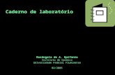 Caderno de laboratório Rosângela de A. Epifanio Instituto de Química Universidade Federal Fluminense 02/2005.