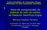 Centro Brasileiro de Pesquisas Físicas Mestrado em Instrumentação Científica Teste de componentes do sistema de veto de múons do Detector Neutrinos Angra.