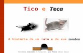Teca Tico e Teca sombra A história de um rato e da sua sombra História adaptada e formatada por Maria Jesus Sousa.