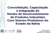 SENAI Cimatec Centro Integrado de Manufatura e Tecnologia Consolidação, Capacitação e Integração do Núcleo de Desenvolvimento de Produtos Industriais Com.