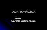 DOR TORÁCICA HGEB Laurence Santana Vacaro Dor torácica 5 a 10 % dos atendimentos na sala de emergência 5 a 10 % dos atendimentos na sala de emergência