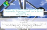 Bureau Brasileiro para Ampliação da Cooperação Internacional com a União Européia – Projeto B-BICE Paulo Egler Centro de Apoio ao Desenvolvimento Tecnológico.