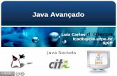 Luiz Carlos d´Oleron lcadb@cin.ufpe.br SJCP Java Sockets Java Avançado.