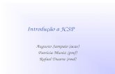 Introdução a JCSP Augusto Sampaio (acas) Patrícia Muniz (pmf) Rafael Duarte (rmd)