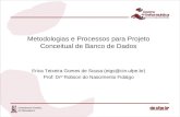 Metodologias e Processos para Projeto Conceitual de Banco de Dados Erica Teixeira Gomes de Sousa (etgs@cin.ufpe.br) Prof: Drº Robson do Nascimento Fidalgo.