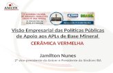 Visão Empresarial das Políticas Públicas de Apoio aos APLs de Base Mineral CERÂMICA VERMELHA Jamilton Nunes 2° vice-presidente da Anicer e Presidente do.