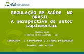 REGULAÇÃO EM SAÚDE NO BRASIL A perspectiva do setor suplementar SEMINÁRIO : O TRABALHADOR E A SAÚDE SUPLEMENTAR Brasilia, maio de 2008 EDUARDO SALES DIRETOR.