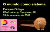 O mundo como sistema Enrique Ortega FEA/Unicamp, Campinas, SP 13 de setembro de 2007 Laboratório Engenharia Ecológica.