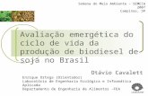 Avaliação emergética do ciclo de vida da produção de biodiesel de soja no Brasil Otávio Cavalett Enrique Ortega (Orientador) Laboratório de Engenharia.