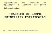 TRABALHO DE CAMPO- PRINCIPAIS ESTRATEGIAS Enf. Sandra Maria do Valle Leone de Oliveira Capacitação nas técnicas de aplicação e leitura da prova tuberculínica.