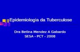Epidemiologia da Tuberculose Dra Betina Mendez A Gabardo SESA - PCT - 2008.