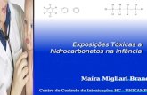Exposições Tóxicas a hidrocarbonetos na infância Maíra Migliari Branco Centro de Controle de Intoxicações HC - UNICAMP.