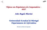 Tópicos em Arquitetura de Computadores - 4027 João Angelo Martini UniversidadeEstadual de Maringá Departamento de Informática Mestrado em Ciência da Computação.
