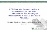 Rede Brasileira de Informação de Arranjos Produtivos Locais de Base Mineral Oficina de Capacitação e Disseminação da Boa Informação em Arranjos Produtivos.