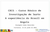 CBIS – Curso Básico de Investigação de Surto A experiência do Brasil em Angola Rosangela Gomes Benevides Fortaleza, 15 de junho de 2010.