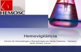Hemovigilância Centro de Hematologia e Hemoterapia em Santa Catarina – Hemosc Neila Simara Zanon.