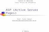 ASP (Active Server Pages) Prof. Tales Cabral talescabral@colegiodaimaculada.com.br COLÉGIO DA IMACULADA Curso Técnico em Informática 3º Módulo.