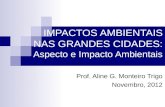 IMPACTOS AMBIENTAIS NAS GRANDES CIDADES: Aspecto e Impacto Ambientais Prof. Aline G. Monteiro Trigo Novembro, 2012.