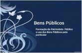 Bens Públicos Formação do Patrimônio Público e uso dos Bens Públicos pelo particular.