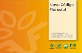 Novo Código Florestal Lucélia Denise P. Avi Analista de Meio Ambiente Núcleo Técnico da Famato.
