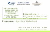 Data: 03 de junho a 10 de julho de 2009 Professora: Maria Adélia da Silva Guimarães Disciplina : Higiene e Medicina do Trabalho Programa: Agentes Químicos.